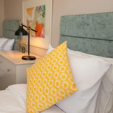 Apartment 291 -
